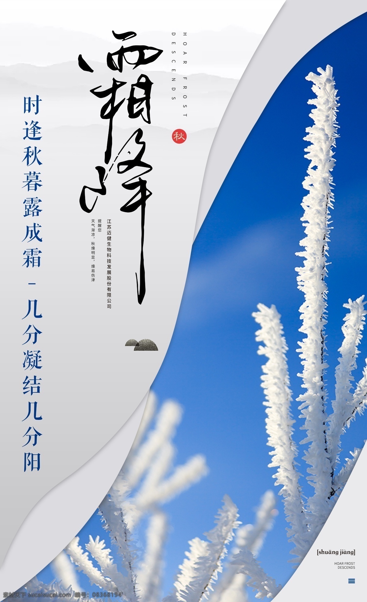 霜降 中国 二十四节气 节气 海报 极 简约 节日海报 文艺 蓝色 冬天 中国传统 节气海报 雪 霜
