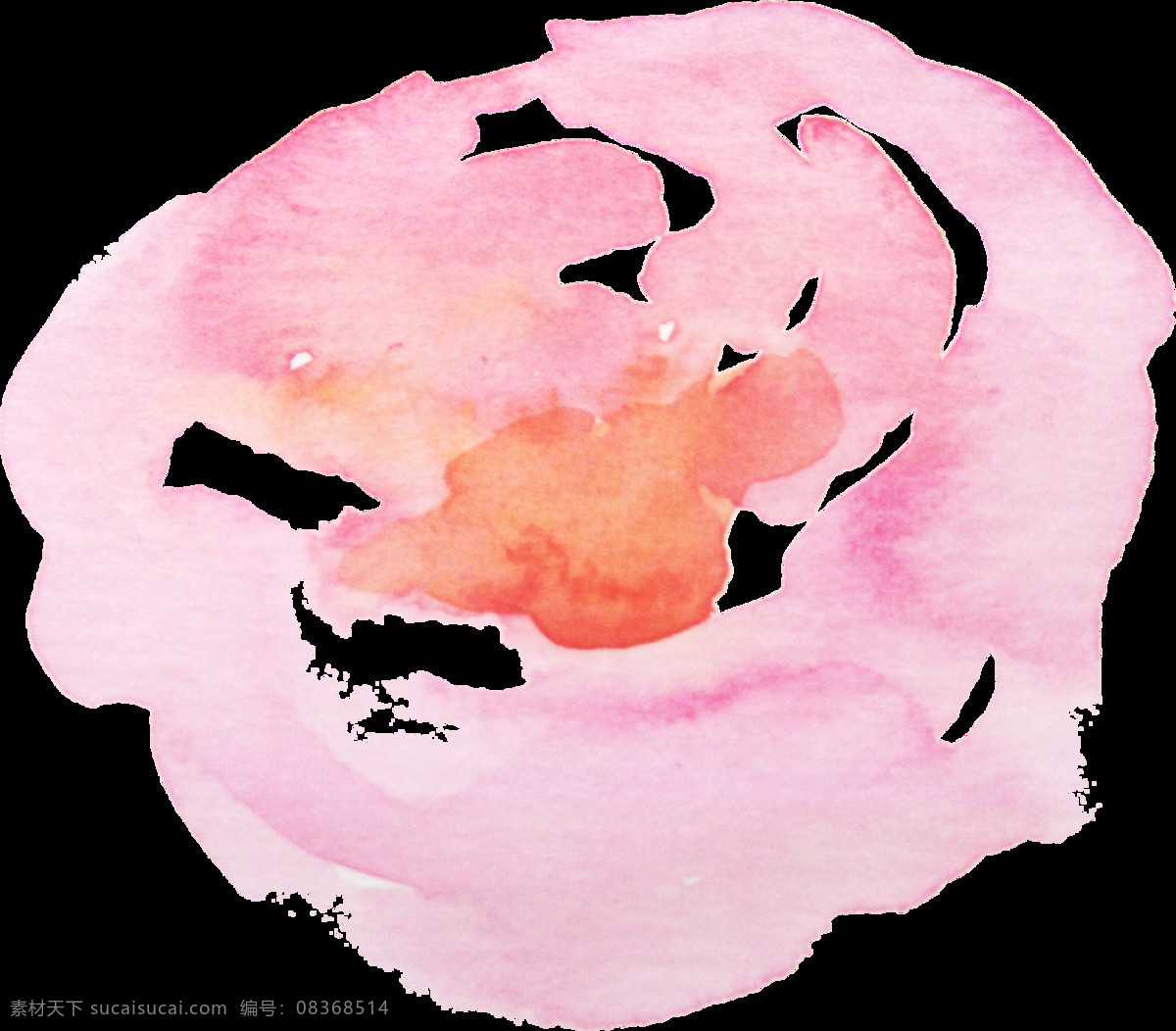 娇艳 花卉 卡通 透明 粉色 抠图专用 装饰 设计素材