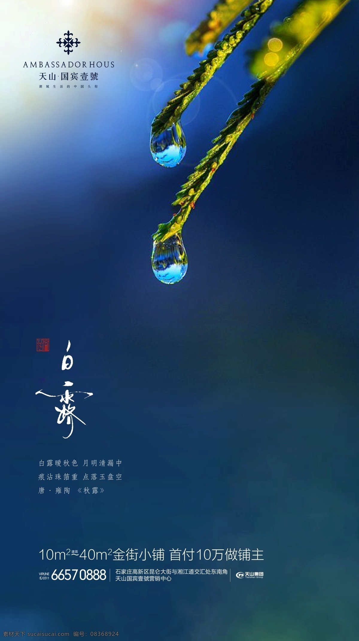 房地产 节气 白露 地产推广 24节气 节气单屏 单屏
