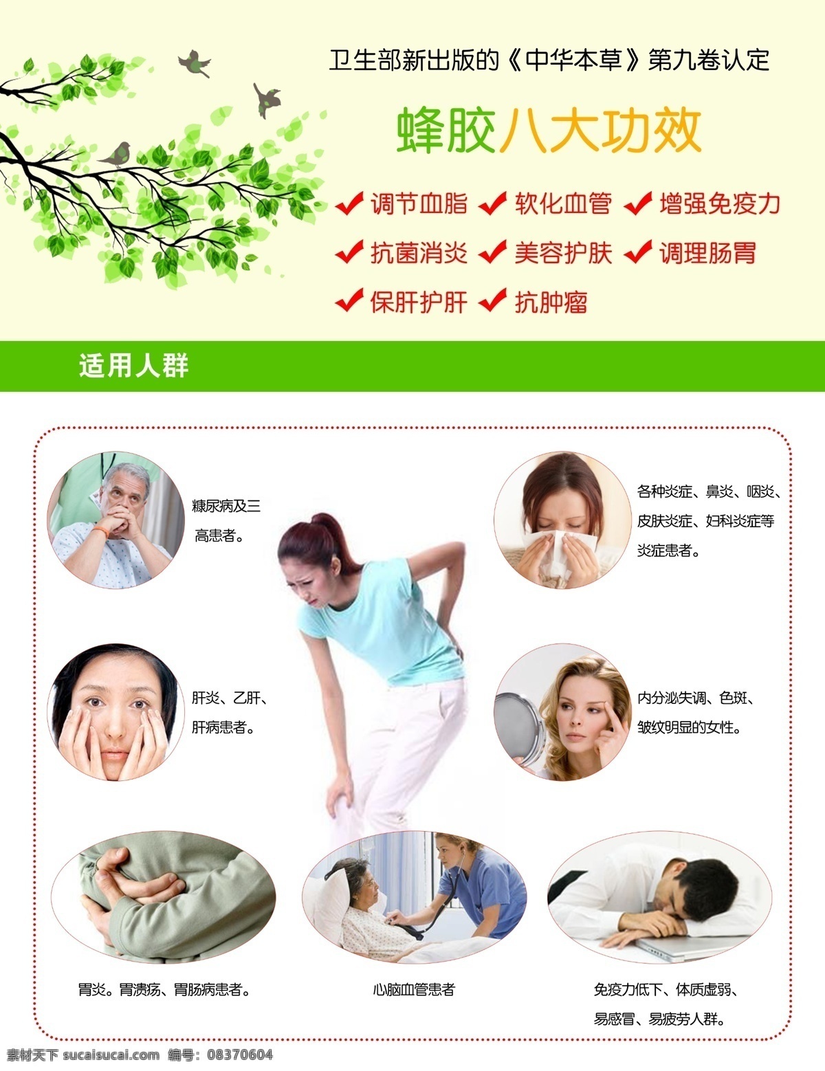 适用人群 蜂胶 蜂蜜 健康 养生 绿色 惠芝园 蜜蜂 蜂蜜功效 黄色背景 清新背景 漂亮背景 小鸟 春天 树枝 发芽 生病 海报