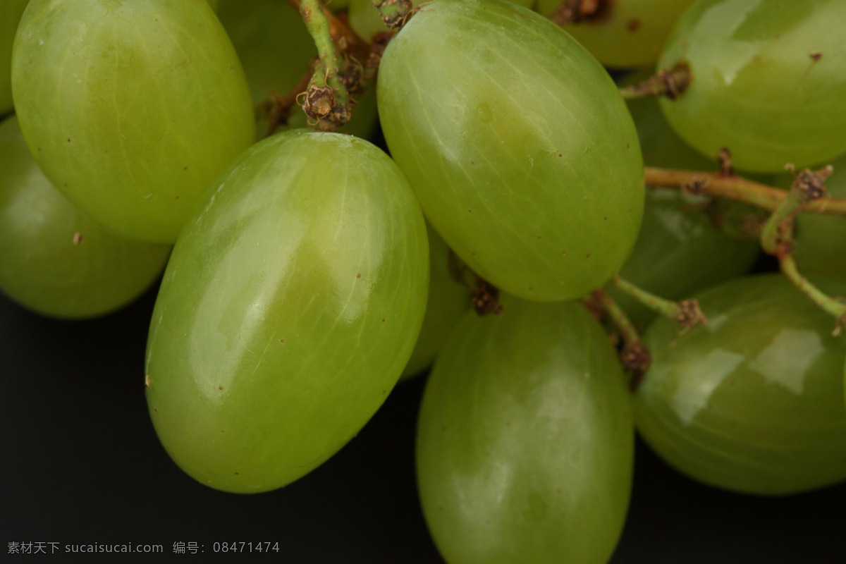 提子 葡萄 青葡萄 生物世界 蔬菜 水果 水果蔬菜 青提子 新鲜葡萄 新鲜水果 水果高清图片 风景 生活 旅游餐饮