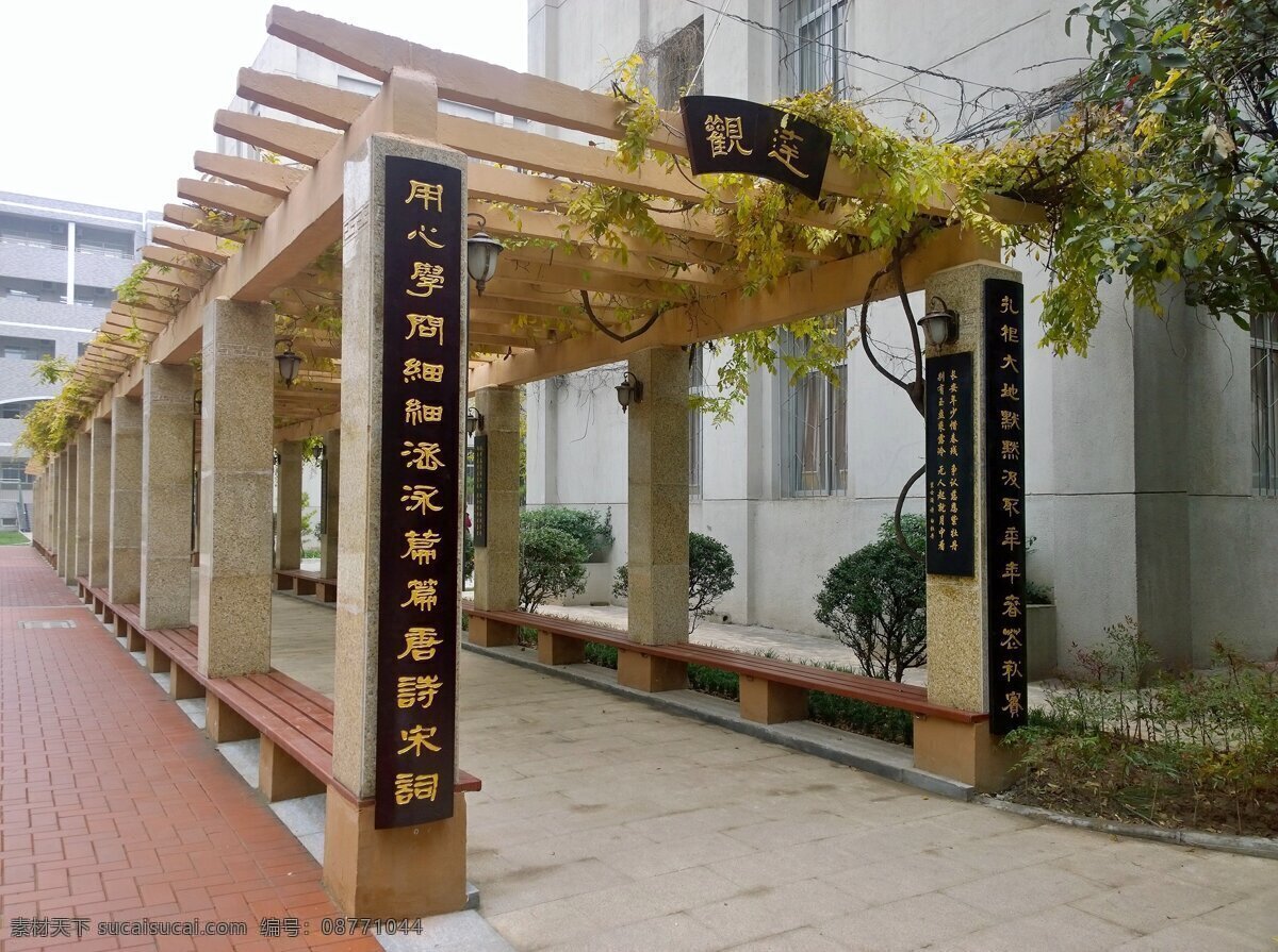 校园廊架 西安市 第八十五 中学 廊架 凌霄 诗词 高清 室外景观 建筑园林 园林建筑
