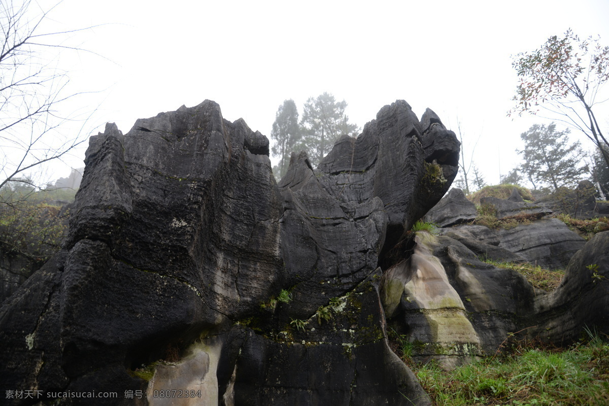 石林 奇石 怪石 石头 象形石 旅游摄影 国内旅游 白色