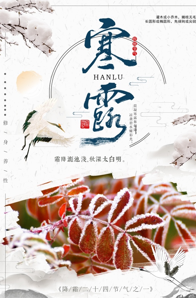 寒露海报图片 寒露 寒露海报 二十四节气 秋天 露水 冬天 霜降 卡通 插画 农历节气 海报 画报 节气 夏至 小暑 大暑 寒露节气 寒露插画 寒露宣传 立秋 处暑 白露 秋分 艺术 文化 小清晰 可爱 卡通冬季 冬天海报 大雪 小雪 寒冬 下雪 雪村 水雾 白露海报 霜露 季节海报 分层