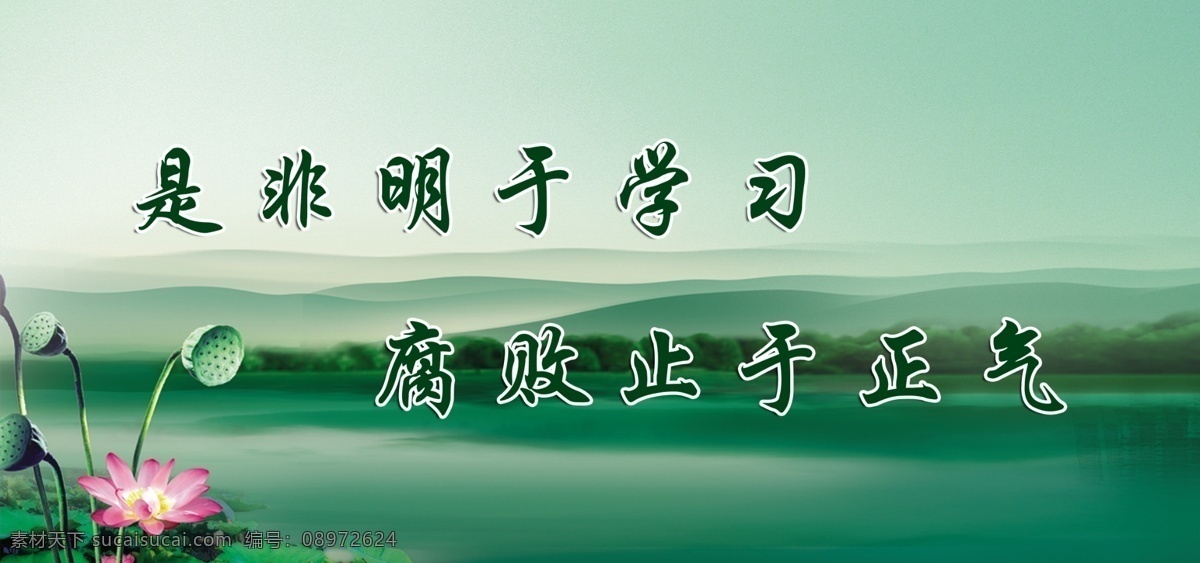 荷花 清廉 苫 绿色