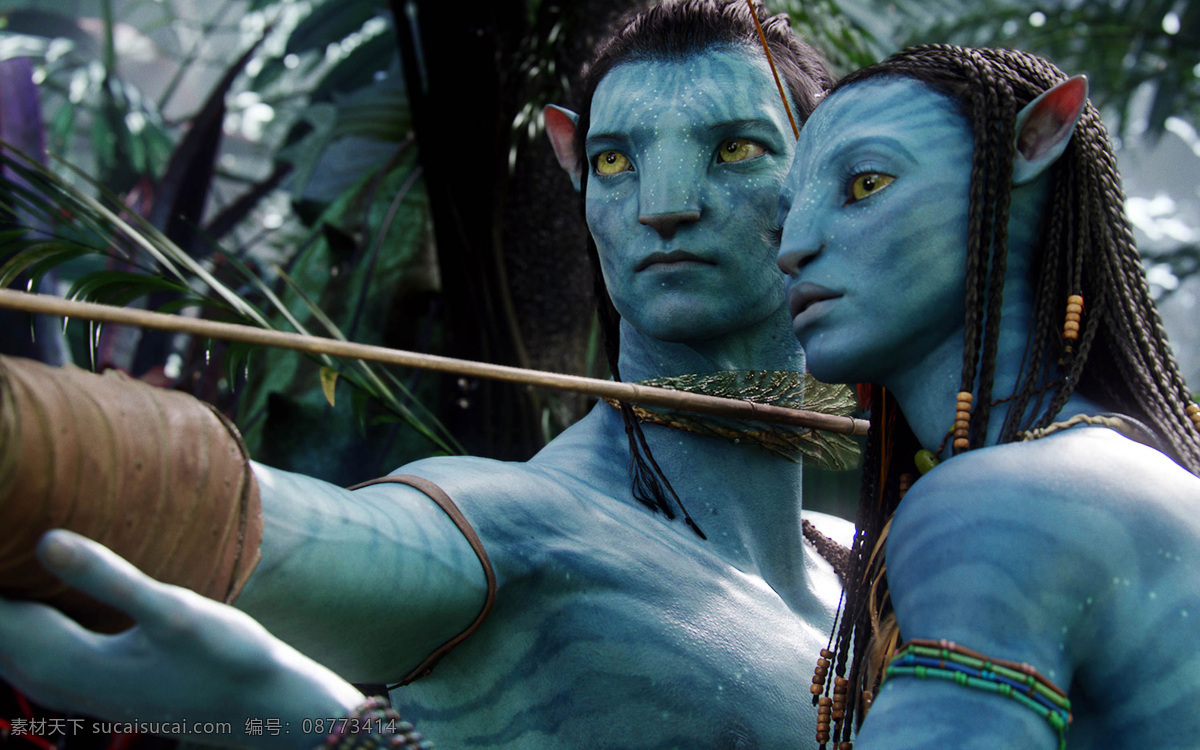 阿凡达 avatar 詹姆斯 卡 梅隆 福克斯 3d 飞行船 外星人 化身 蓝人 好莱坞 潘多拉 星球 纳美人 纳美 电影海报 影视娱乐 文化艺术