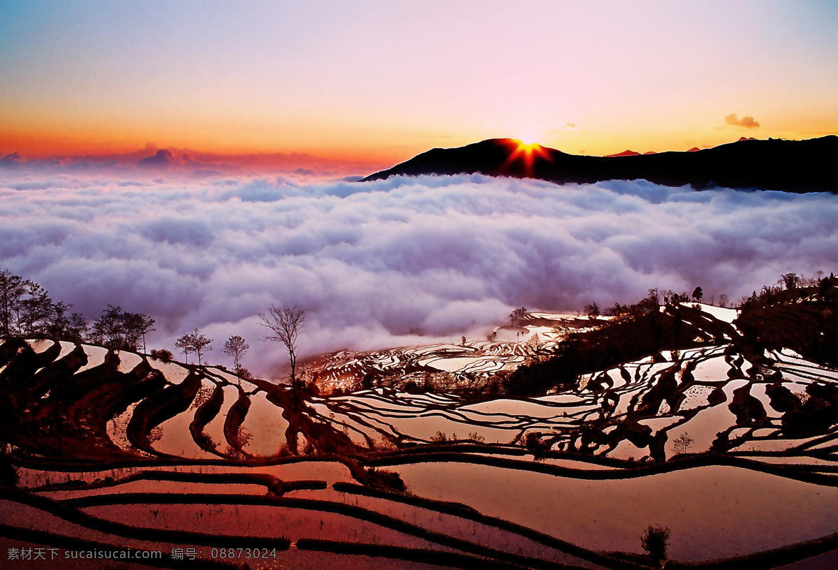 梯田云海 梯田 田野 田地 云海 云雾 太阳光 日落 落日 晚霞 霞光 黄昏 自然美景 自然风景 自然景观