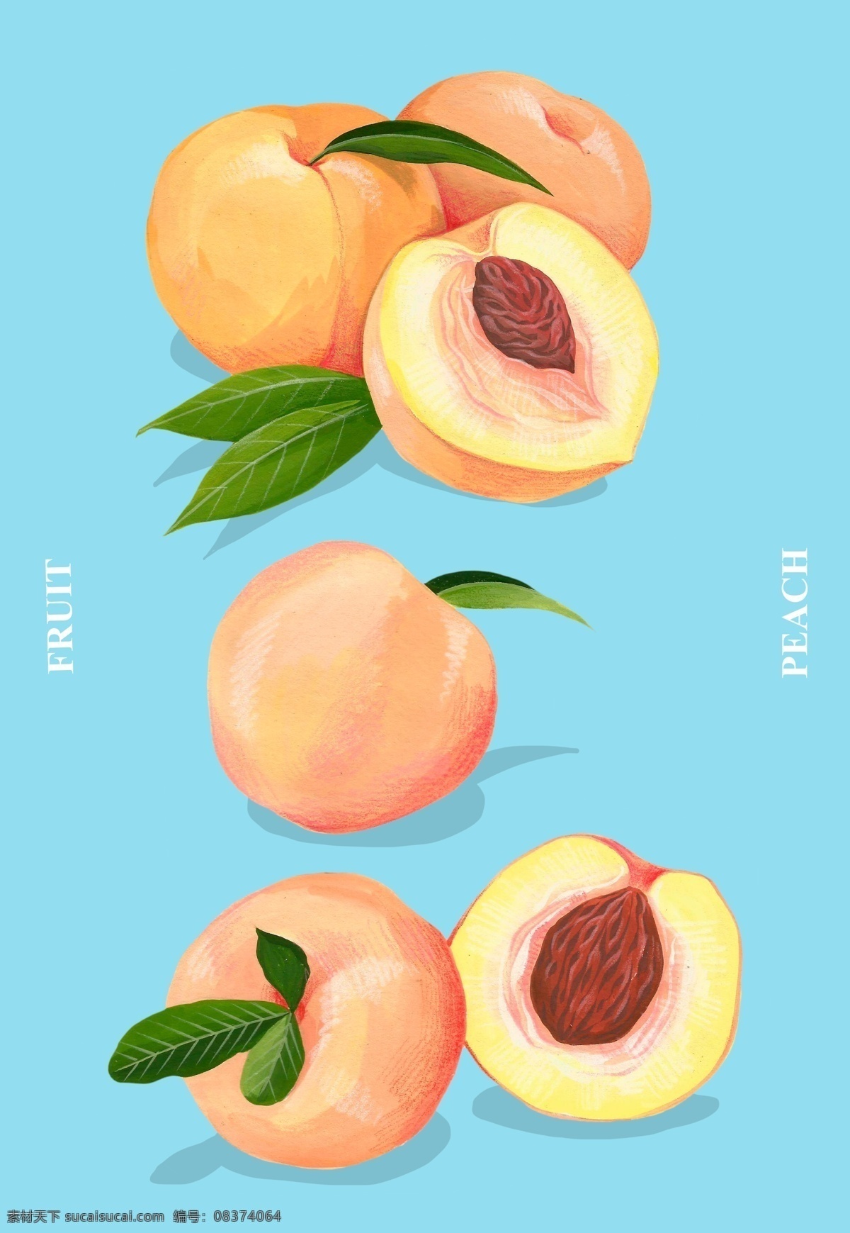 桃子 手绘 插画 带叶的水蜜桃 几个桃 几个桃子 水蜜桃 带叶的桃 叶 叶子 桃 切开的桃 切开的桃子 切面 剖面 手绘桃子 矢量桃子 手绘桃 矢量桃 卡通水果 风格 矢量 水彩 水果 矢量水果 水墨 工笔 画 卡通 设计素材 手绘水果 食物 桃子插画手绘