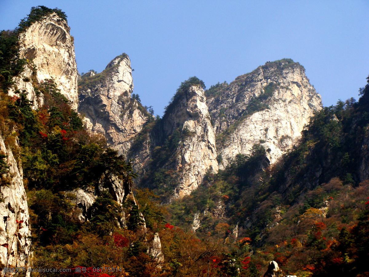 鸡角尖 西峡 伏牛山 风光 山峰 树木 蓝天 宁静 自然景观 自然风景 摄影图库 西峡鸡角尖