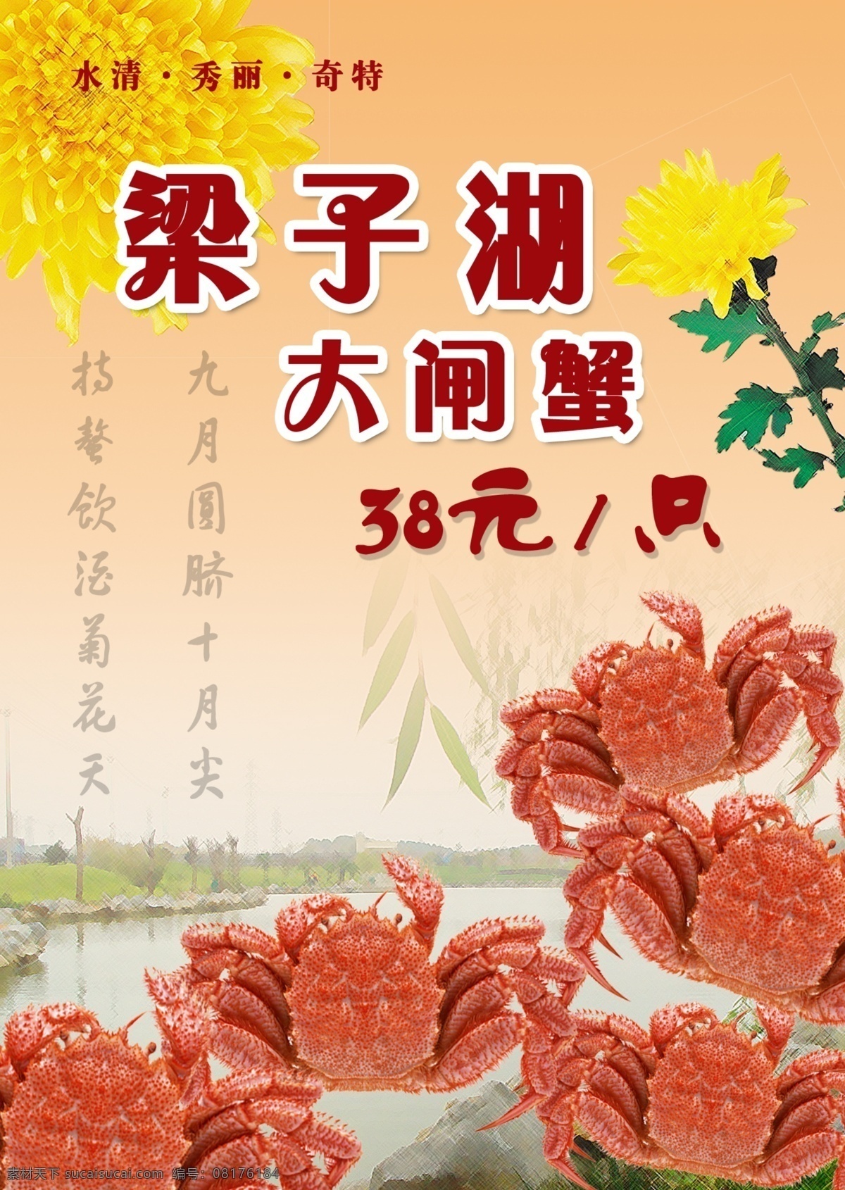 梁子湖大闸蟹 菊花 大闸蟹易拉宝 闸蟹挂画 大闸蟹广告 大闸蟹宣传单 大闸蟹宣传 展板 分层