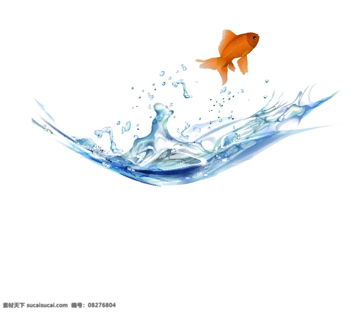 水珠 飞溅 金鱼 矢量素材 水花 矢量图 其他矢量图