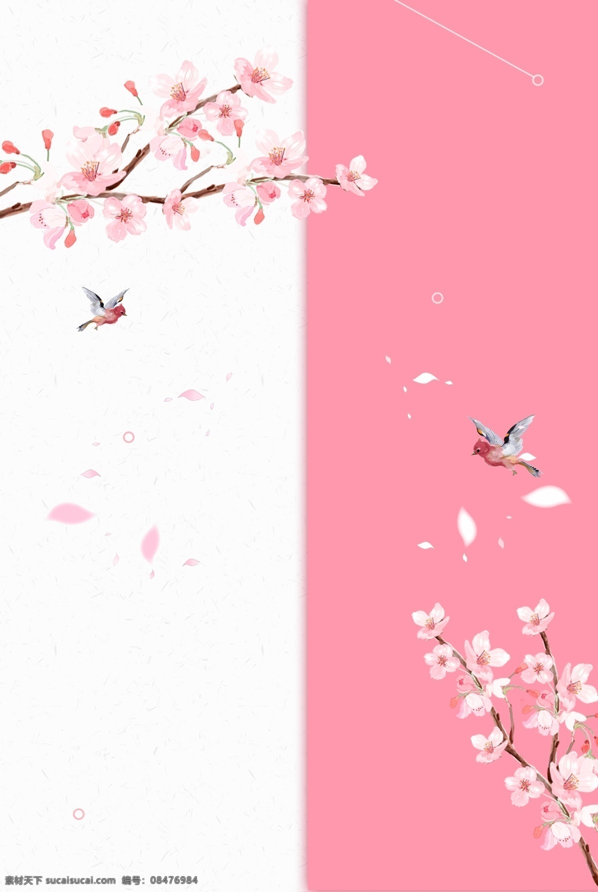 唯美 粉色 樱花节 背景 樱花 樱花季 浪漫 花朵 散落 落花