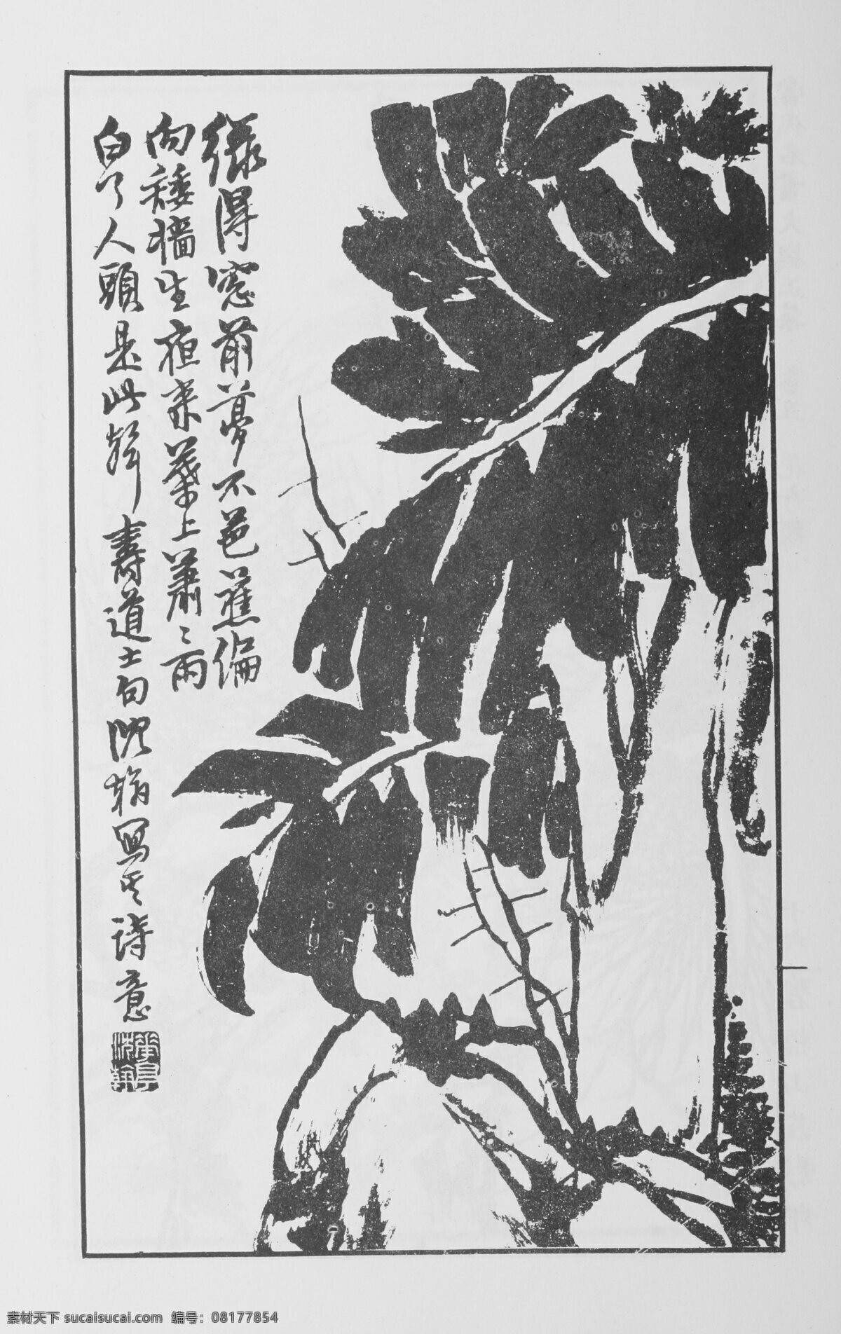 花卉画 中国画 当代 名画 大观 正 集 设计素材 花鸟画篇 中国画篇 书画美术 白色