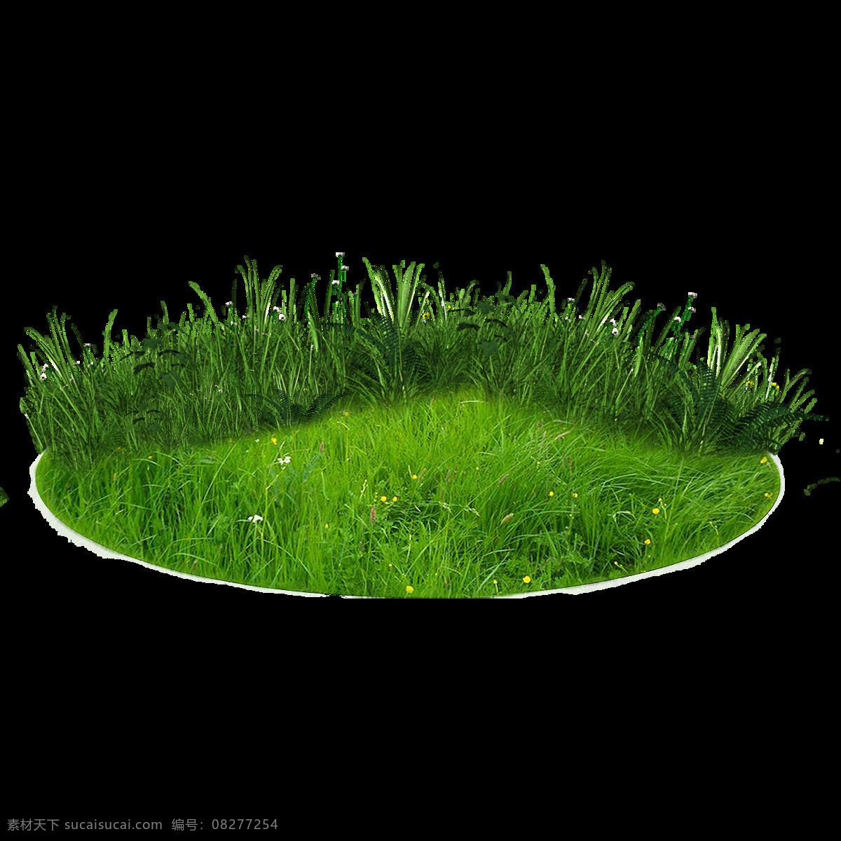 绿色 草坪 透明 元素 小草坪 小草 自然 大自然 清新空气 美好