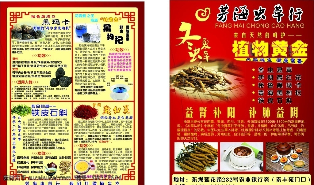 虫草行 冬虫夏草 植物黄金 保健药品 名贵中药 玛卡