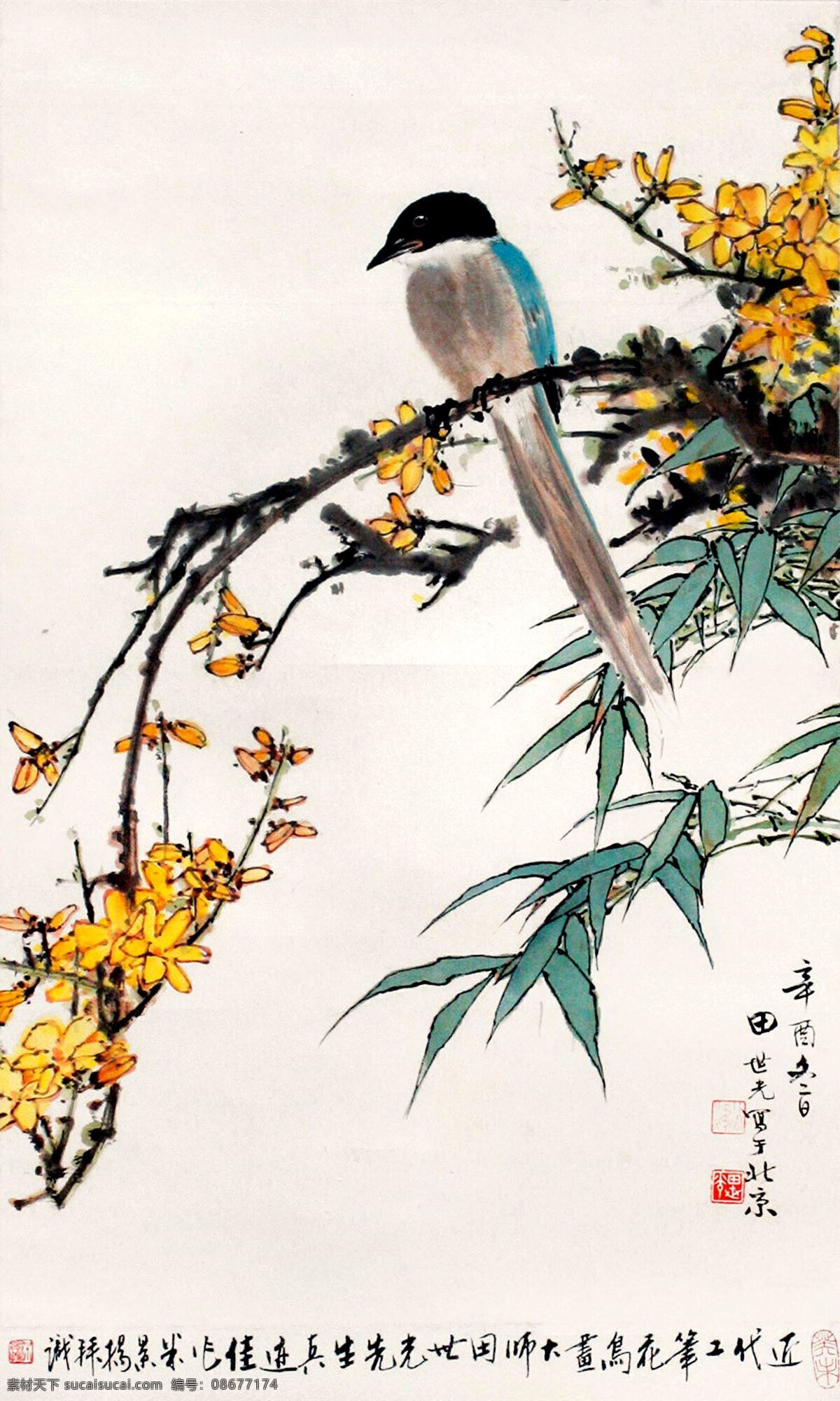 中国画 国画 中国风花鸟 水墨画 水墨鸟 花鸟 水彩画 工笔画 写意 中国风 文化艺术 传统文化 绘画书法