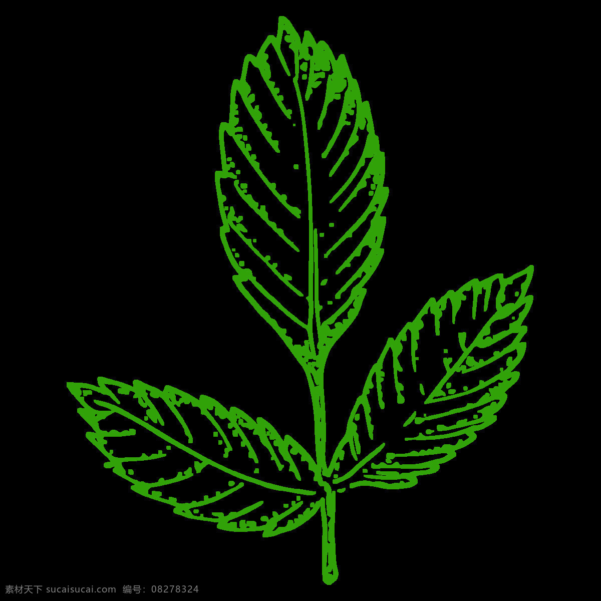 手绘 绿色 透明 蔬菜 png素材 简约 卡通 免扣素材