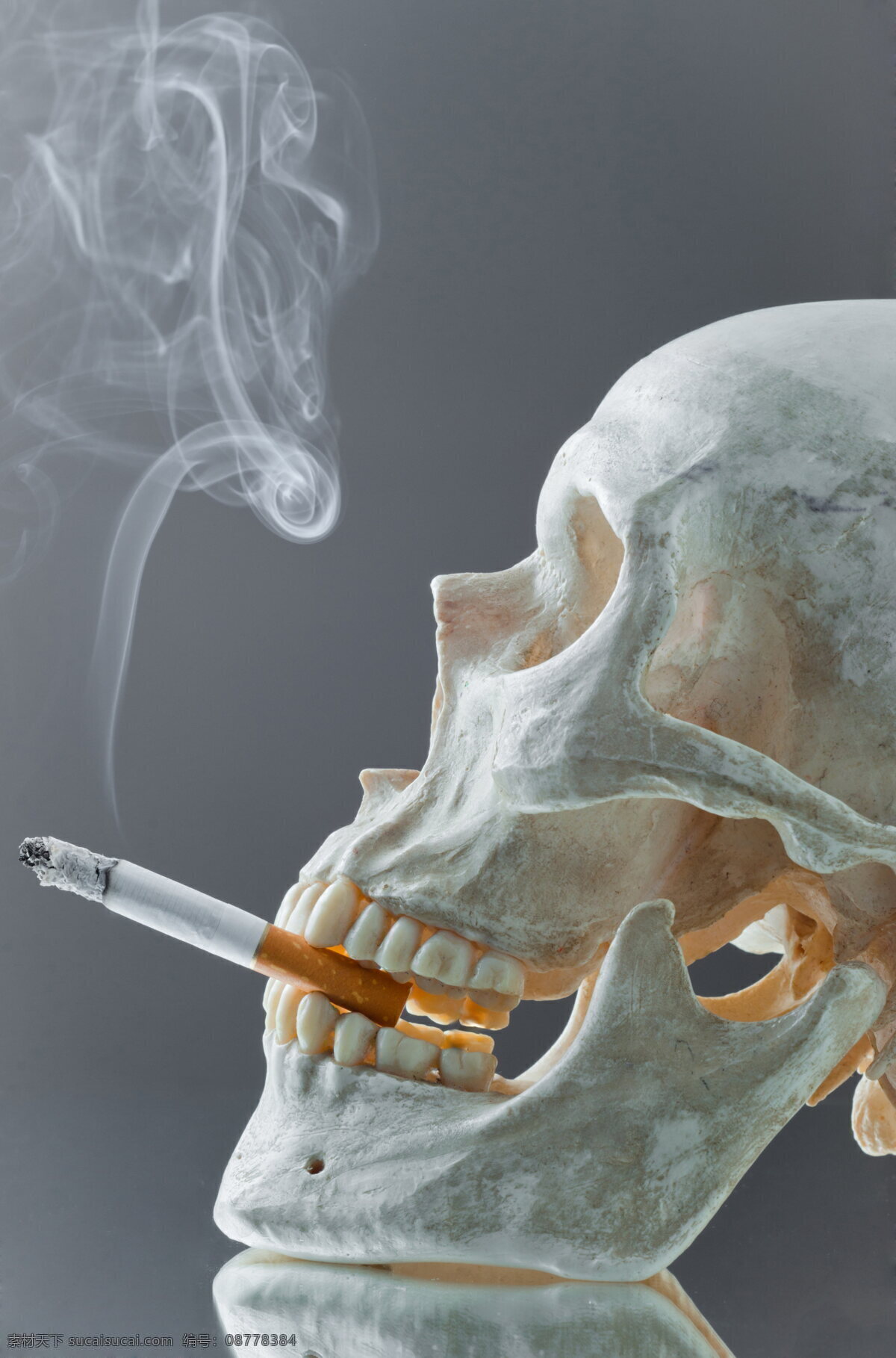 吸烟 禁止吸烟 请勿吸烟 吸烟有害健康 香烟包装盒 骷髅头