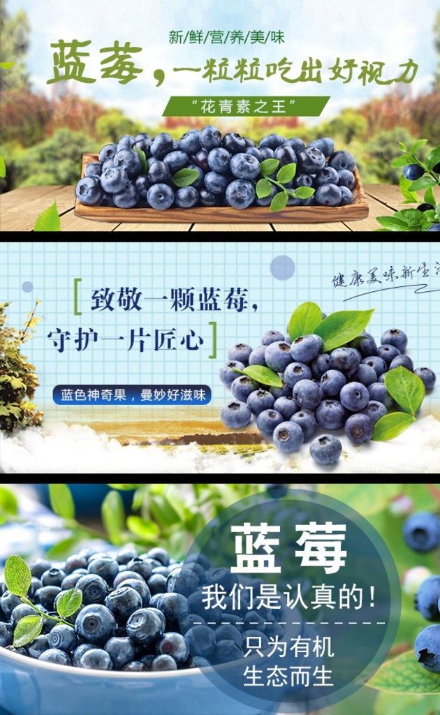 蓝莓 banner 图 蓝莓主图 水果 水果主图 有机蓝莓 个人作品 淘宝界面设计 淘宝 广告