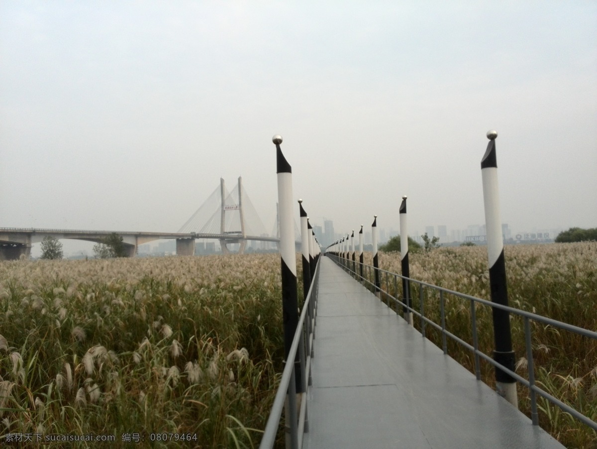 武汉江滩美景 铁桥 江滩 芦苇 江滩公园 拍摄 武汉江滩 国内旅游 旅游摄影