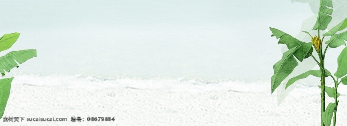 淡雅 夏季 海边 banner 背景 芭蕉 树叶 大海 海浪 清新