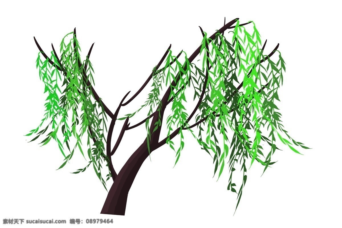 春季 杨柳 手绘 插画 绿色的柳树 卡通插画 手绘春季插画 春季植物插画 春季的杨柳 春天的杨柳