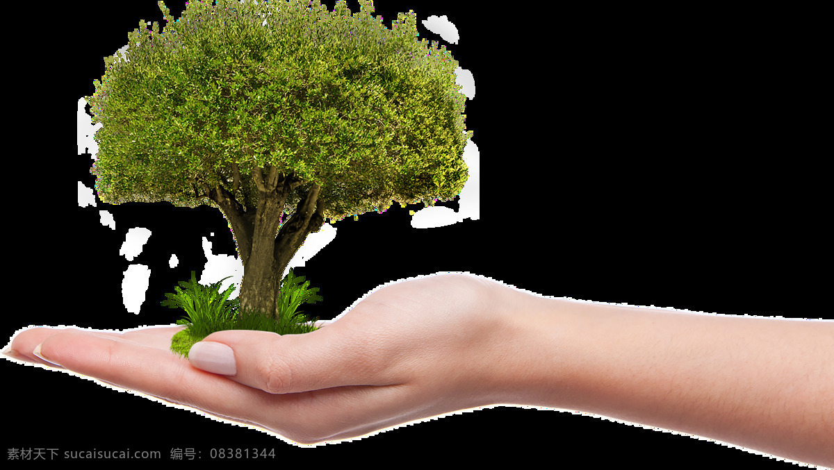 成长 环保 大树 呵护 诞生 生长 孕育 土壤 手掌 男性 绿色 投资 事业 保护 未来 保护环境 生物世界 树木树叶