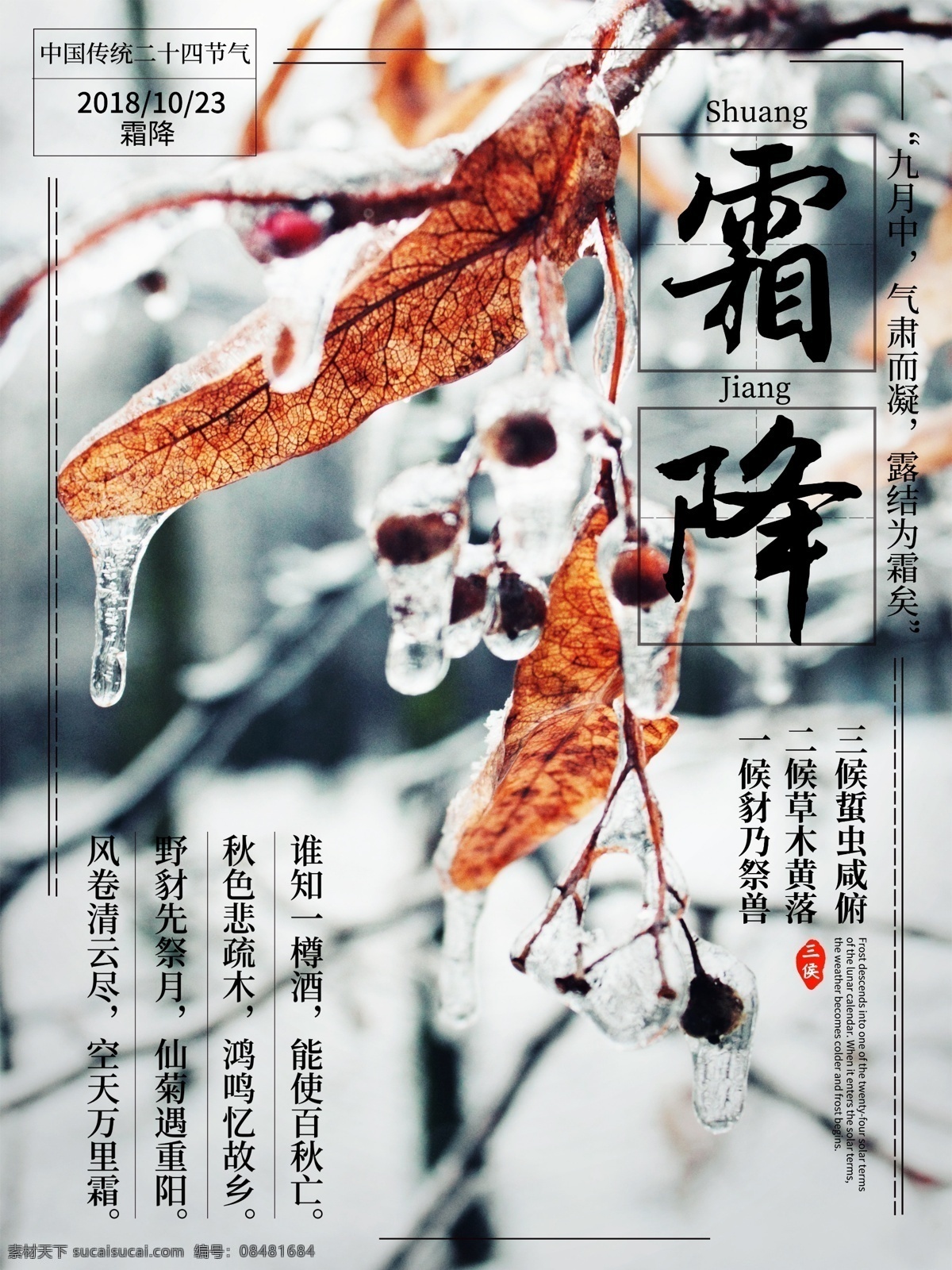 简约 文艺 中国 二十四节气 霜降 节气 海报 中国传统 节日海报 节气海报