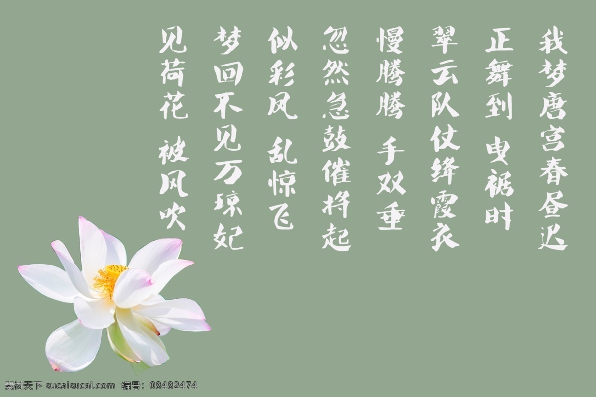 荷花配图 荷花 莲花 白色 绿色 背景 古诗 唐诗 配诗 诗句 文字 字体 书法 朋友圈 文艺 语录 文化艺术 绘画书法