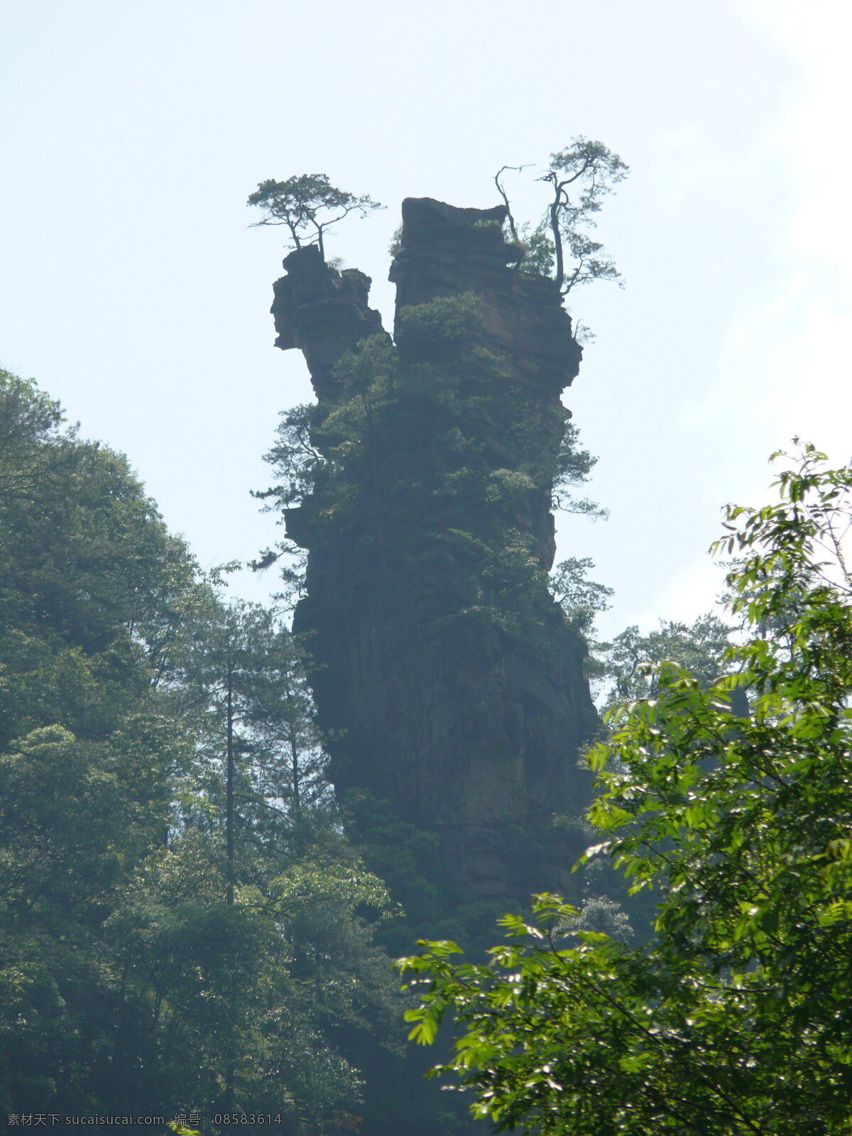 张家界 风景 奇观 山峰 山峰景色 生活 旅游餐饮