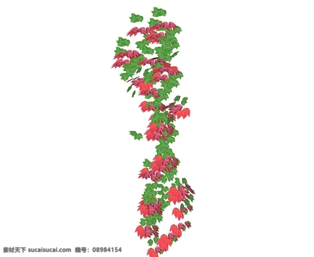 su植物素材 藤本攀爬 su藤本植物 su攀爬植物 植物配景 景观设计 园林设计 植物素材 3d植物模型 su植物 环境设计 skp