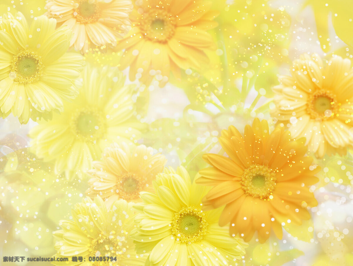 黄色 花朵 温馨 背景 梦幻 背景图片