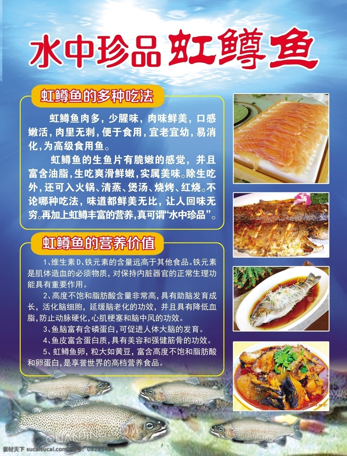 虹鳟 虹鳟鱼 虹鳟鱼的吃法 虹鳟鱼营养 生鱼片 烤虹鳟鱼 清蒸虹鳟鱼 虹鳟鱼火锅 虹鳟鱼展板 展板模板