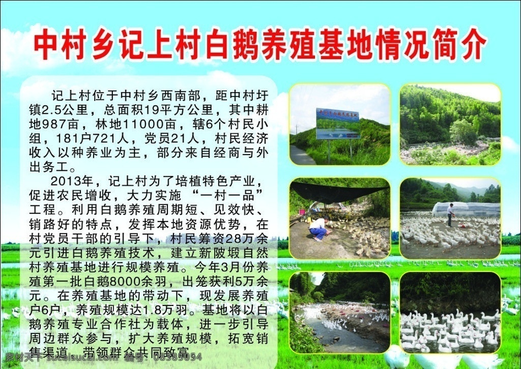 养鹅基地 鹅 蓝天草地 基地 养殖基地 底纹背景 底纹边框 矢量