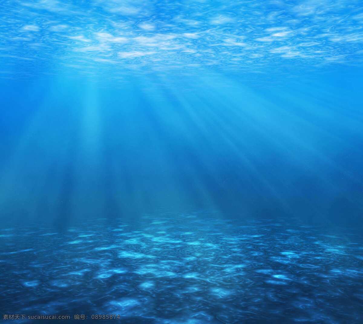 海底世界 海底动物 鱼群 蓝色 鱼类 生活 海藻 海洋 分层