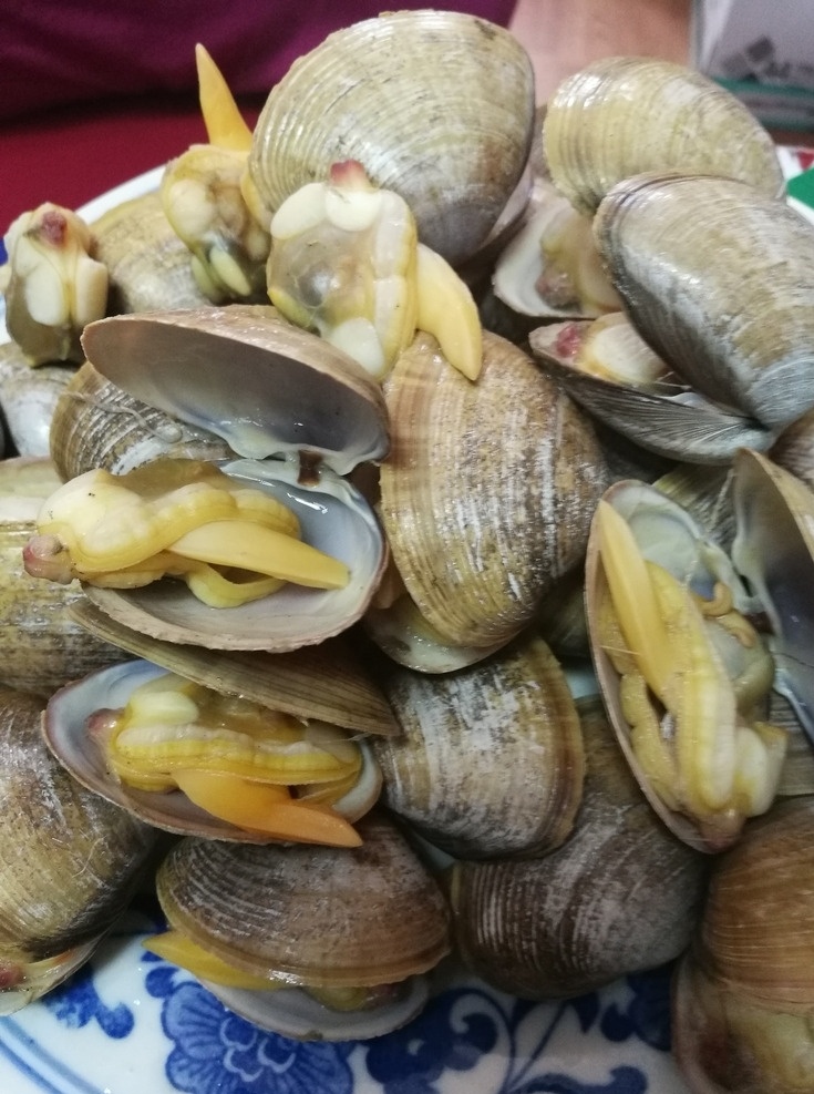 蚬子 煮蚬子 海鲜 海货 贝类 餐饮美食 传统美食