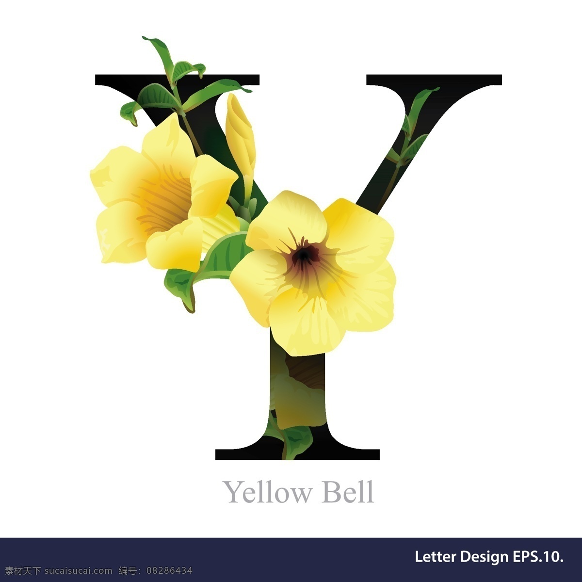 黄色 花卉 英文 字母 字体 花朵 组合 搭配 矢量 源文件