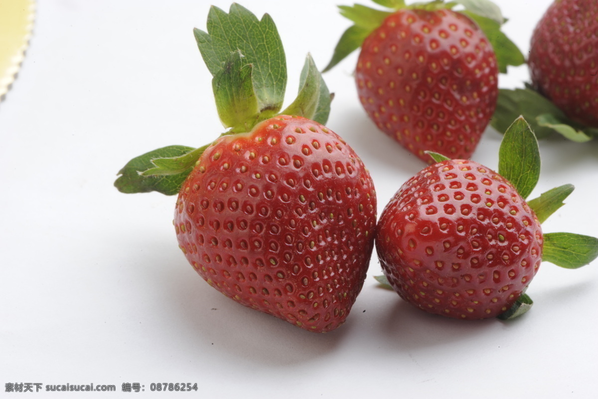草莓 甜美的草莓 草莓叶子 草莓花 新鲜的草莓 水果 生物世界