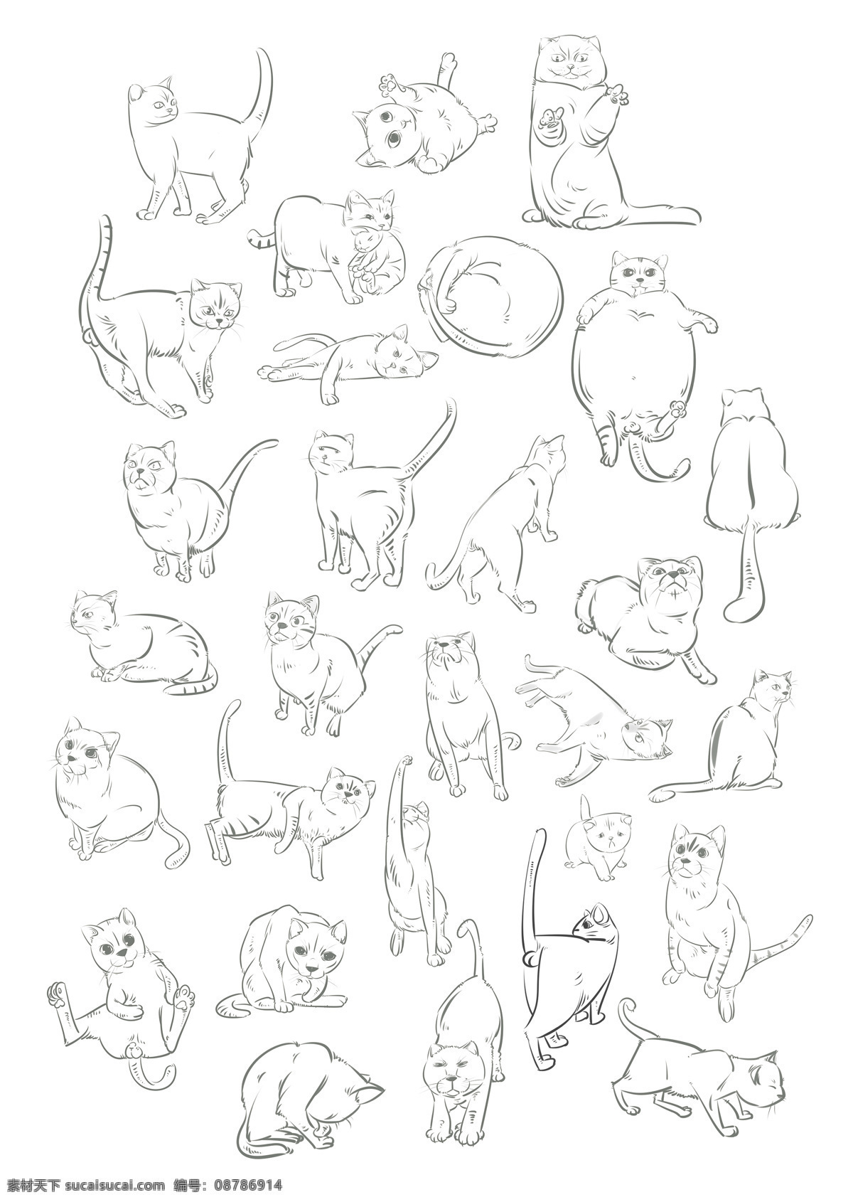 30只猫 线稿 猫 喵 手绘 插画 动漫动画