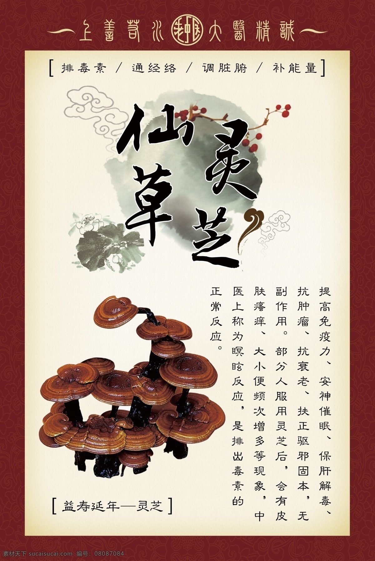 灵芝 圣原 中药 人参 鹿茸 刺五加茶 冬虫夏草