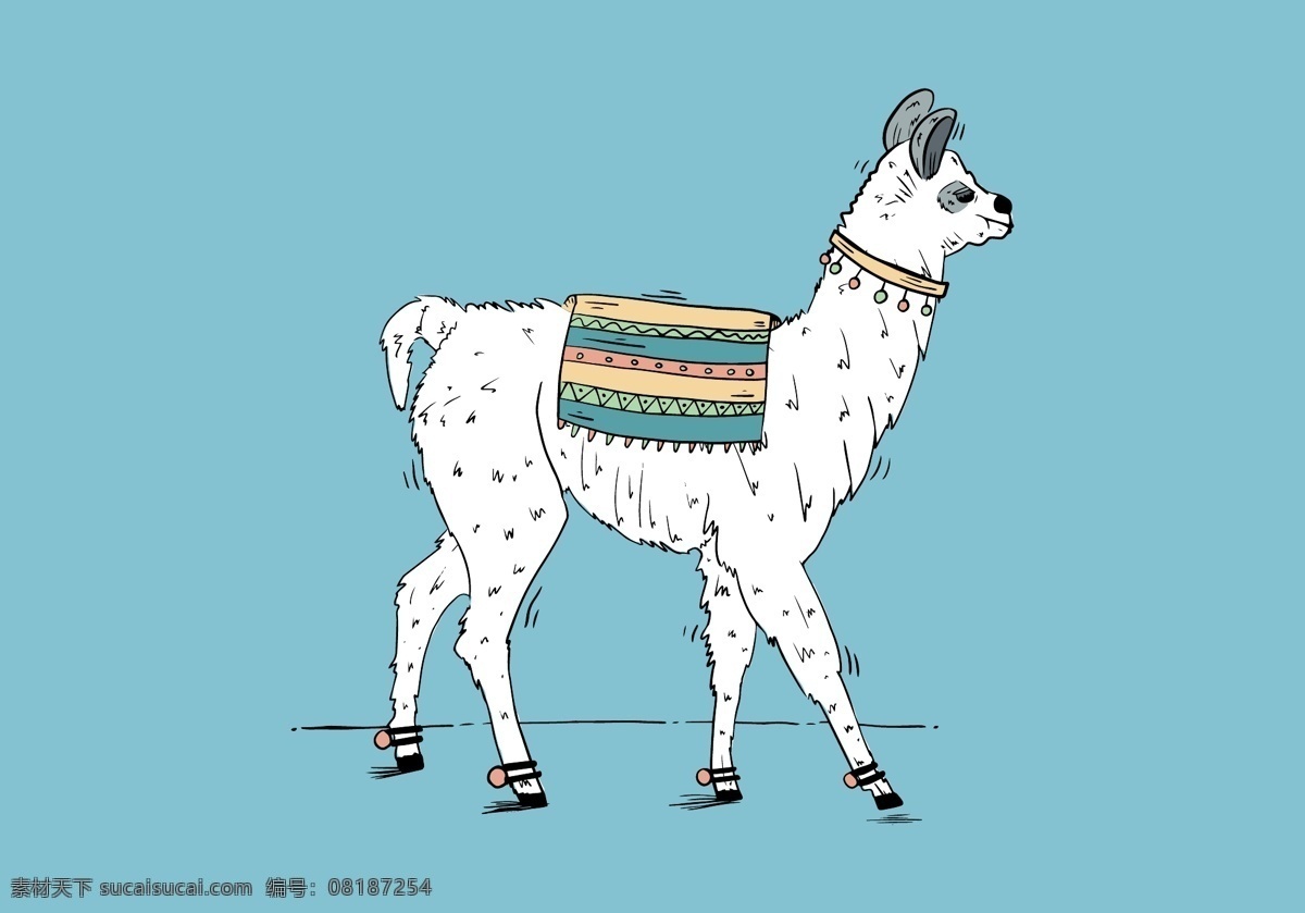 自由 美洲驼 背景 自然 肉 骆驼 野生动物 动物园 笔画 素描 可爱 安第斯山脉 动物 绘画 手工 森林 画动物 毛茸茸的