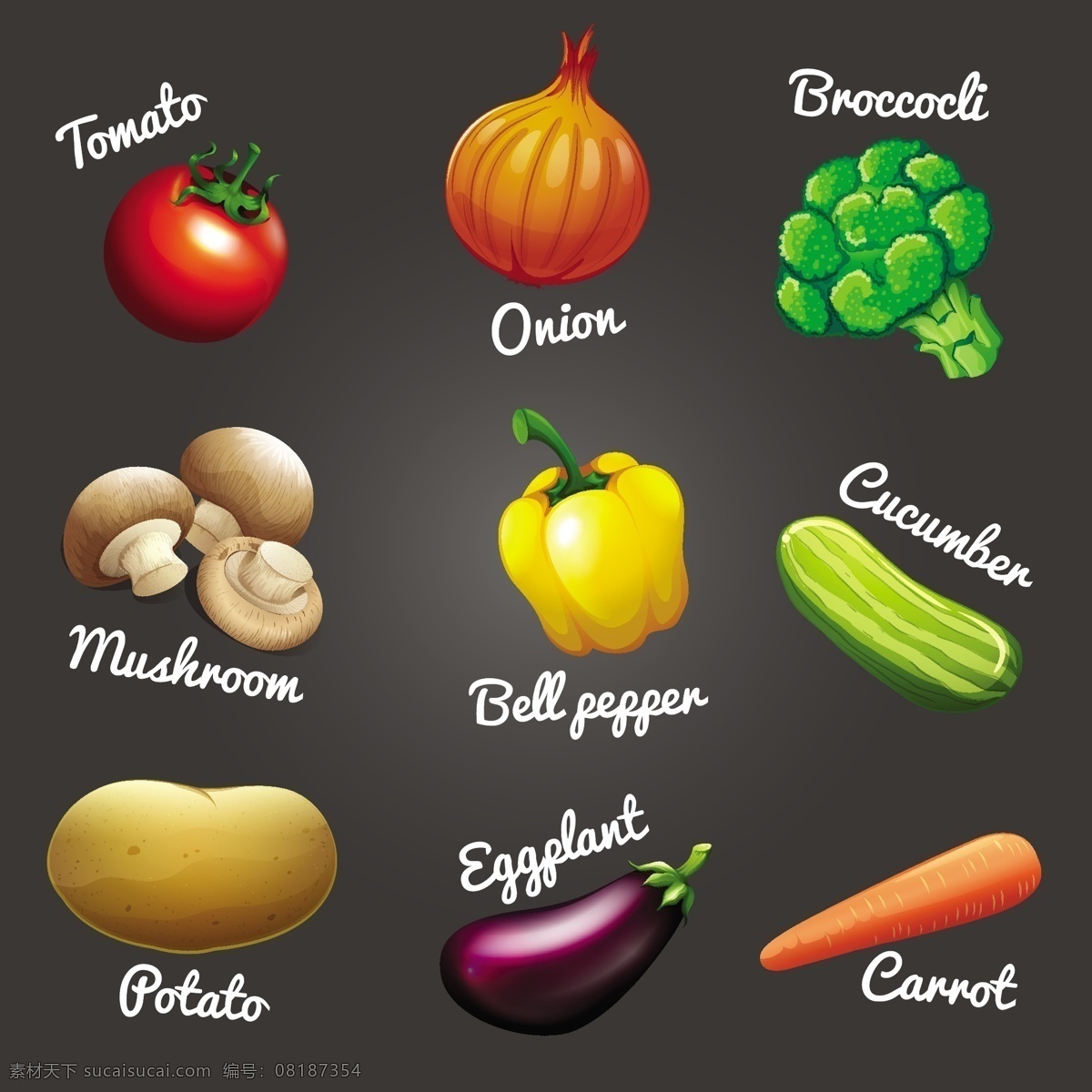 带 名字 插图 新鲜 蔬菜 艺术 绘画 饮食 营养