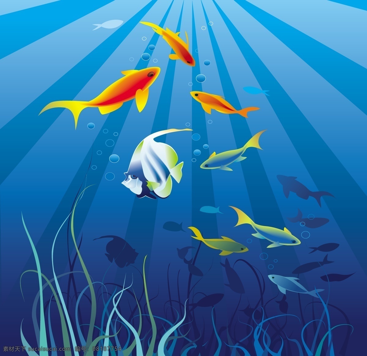矢量 海底 鱼类 背景 光芒 海草 海底世界 海洋生物 气泡 矢量素材