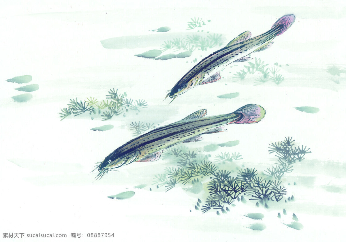 中华 艺术 绘画 古画 鱼水 生 金鱼 螃蟹 中国 古代 传统绘画艺术 美术绘画 名画欣赏 水彩画 水墨画 文化艺术