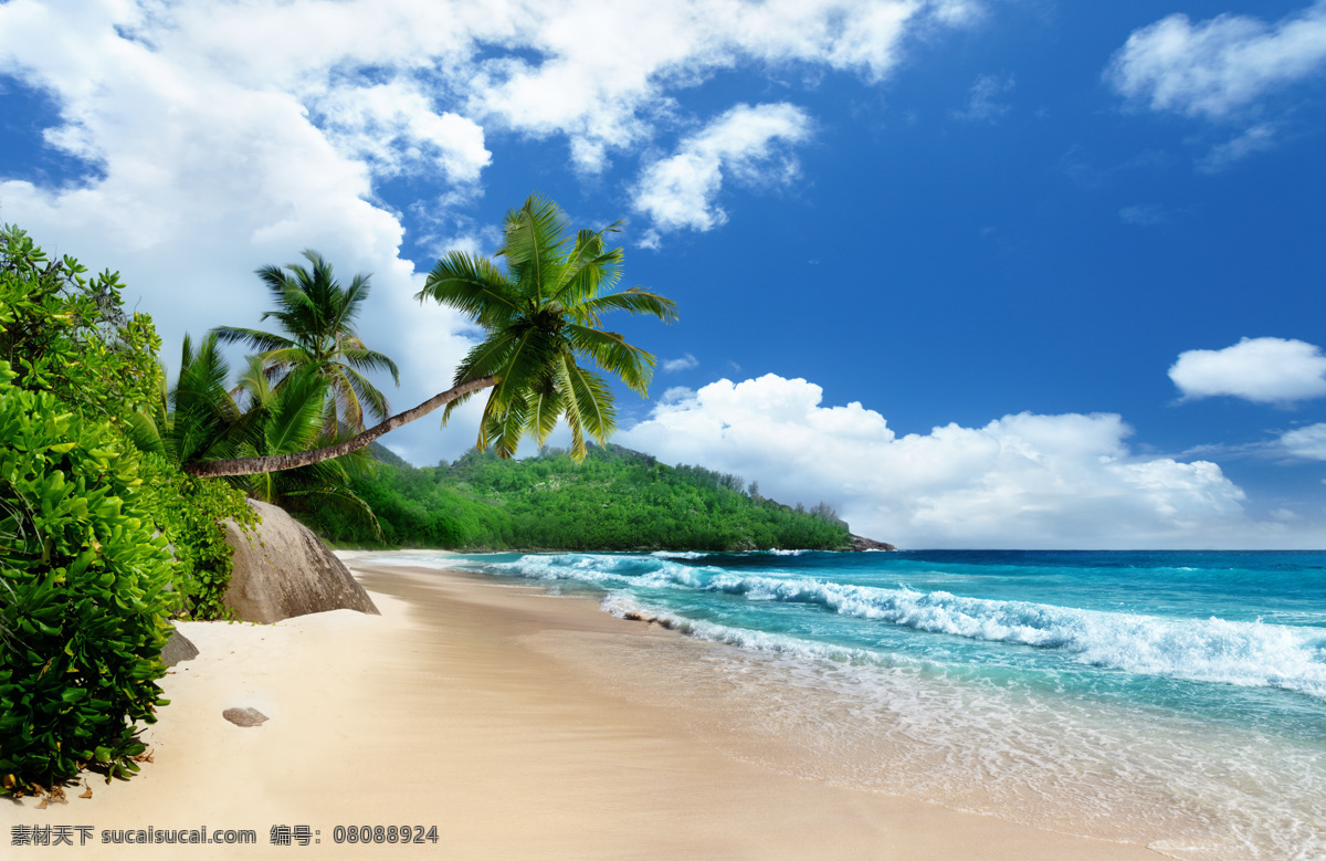 海滩风景 海滩椰树风景 海滩 椰树 海边 蓝天白云 天空 海边椰树 夏日海滩 海滩风光 大海 沙滩 海滩椰树 自然风景 自然景观