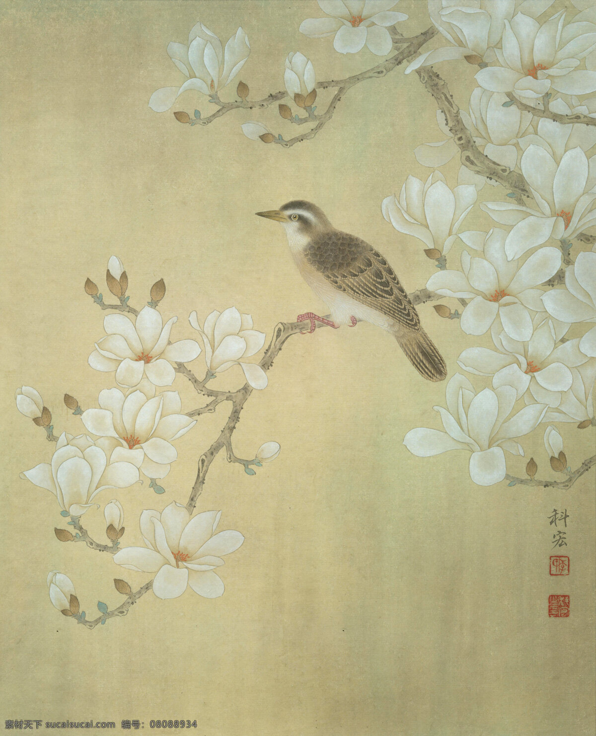 听花语 工笔画 国画 水墨画 花鸟 绘画书法 文化艺术