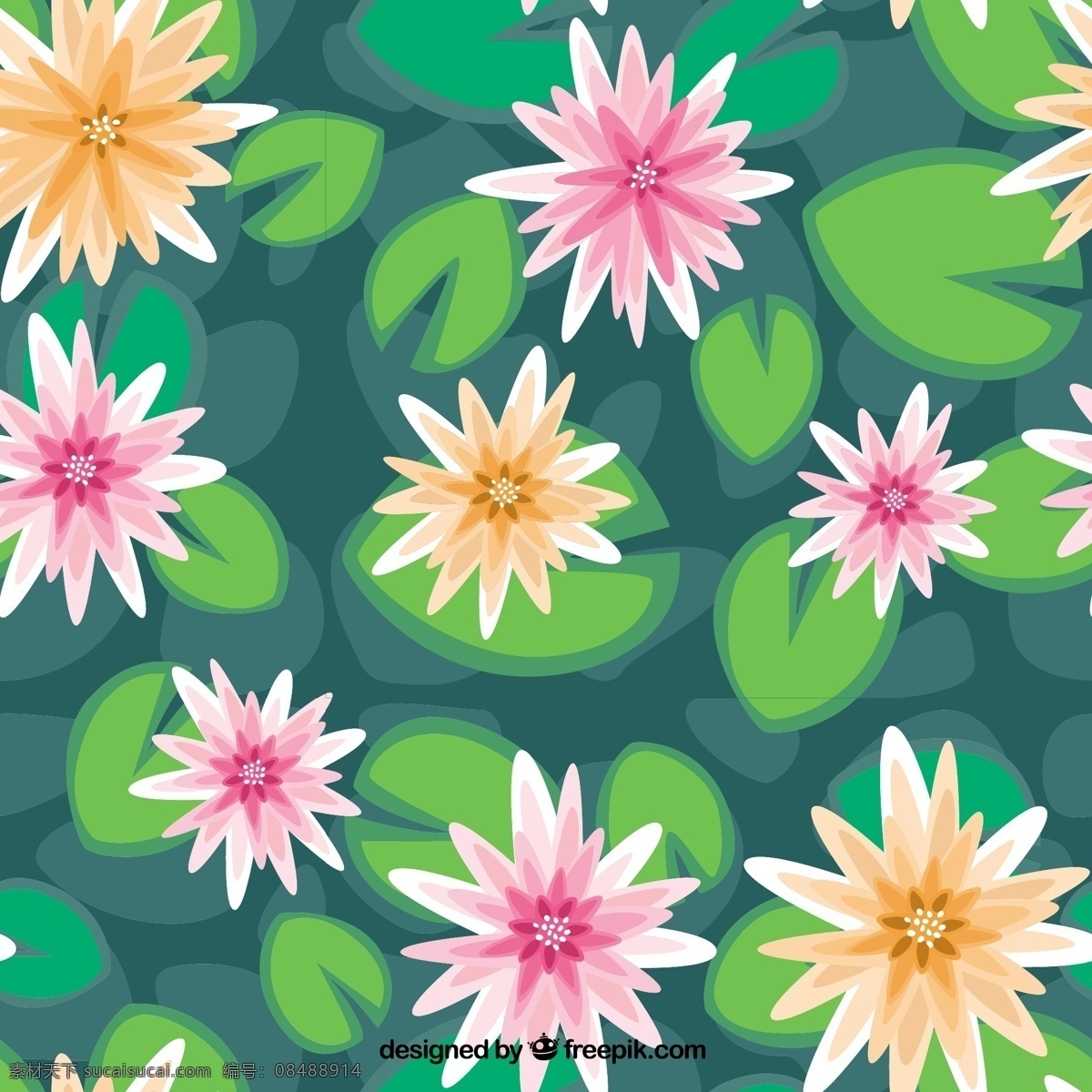 荷花图案 花 花的图案 水 自然 花卉图案 无缝模式 无缝 百合 睡莲 绿色