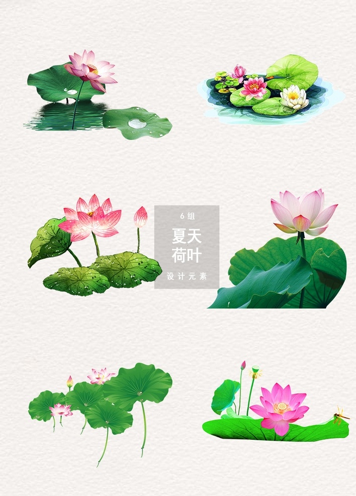 夏天 荷叶 荷花 元素 国画荷花 中国风荷花 荷花花瓣 中秋荷花 荷花图片 工笔荷花 荷花简笔画 荷花鲤鱼 水墨画 水墨荷花 水中荷花 莲花 莲子 花朵 荷花剪纸 古风 手绘荷花荷叶 荷花图 手绘荷花 手绘素材 夏荷 荷花素材 荷叶荷花 荷花夏荷 荷花手绘 荷荷 花鸟鱼虫 动漫动画