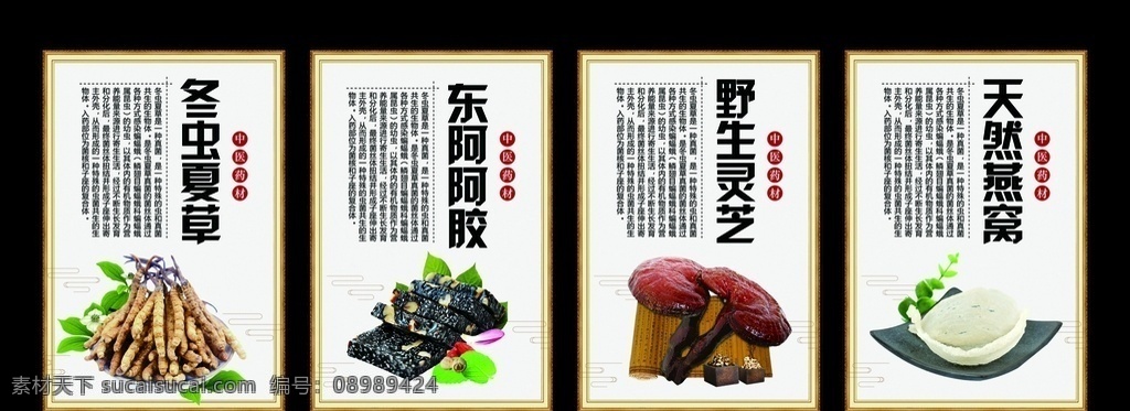 中药八大金刚 中医 中药 金刚 八大金刚 当归 蒲公英 熟地 附子 麻黄 大黄 石膏 黄芪 展架 展板 展示 医疗保健 冬虫夏草