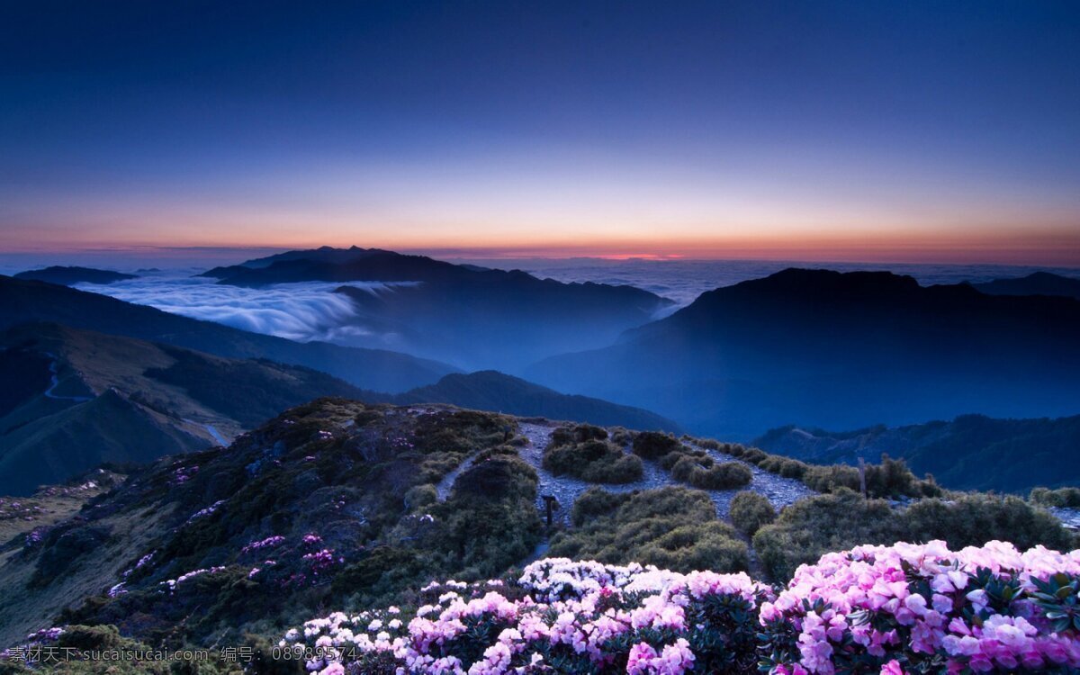 优美自然景色 森林 壁纸 自然风光 山川 河流 景色 风景 自然景观 山水风景